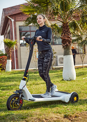 Length 1600mm 2 Wheel 11.3Ah Alu Alloy Electric Balance Scooter