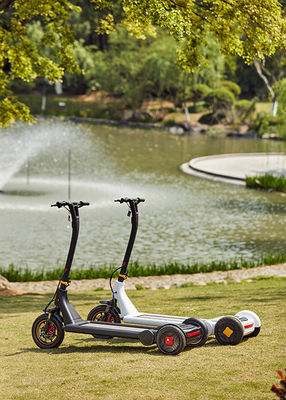 Airuide Rear Wheel 13inch Electric Commuter Scooter
