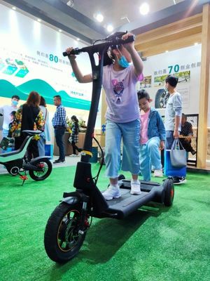 45Km Mileage 30KG Electric Kick 250W 3 Wheel E Scooter
