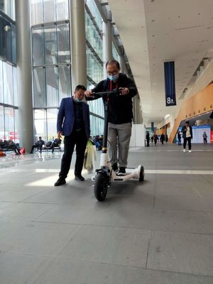 45Km Mileage 30KG Electric Kick 250W 3 Wheel E Scooter