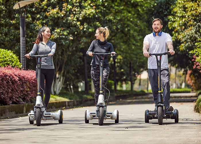 Structural Steel 2h Charging Electric Balance Scooter