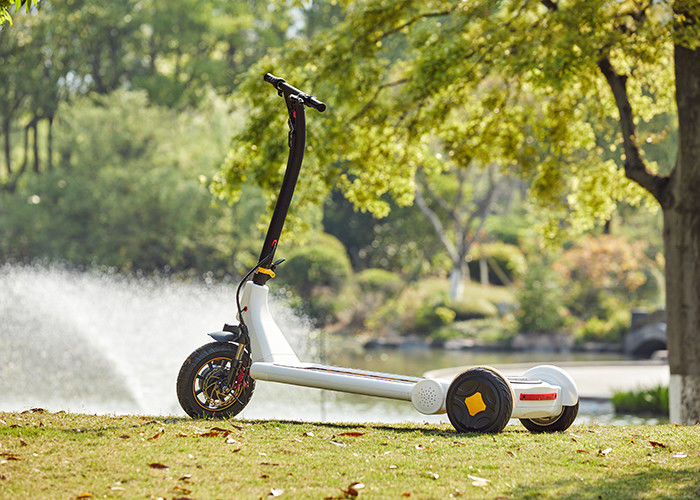45Km Mileage ABS Shell Electric E Scooter For Daily Travel